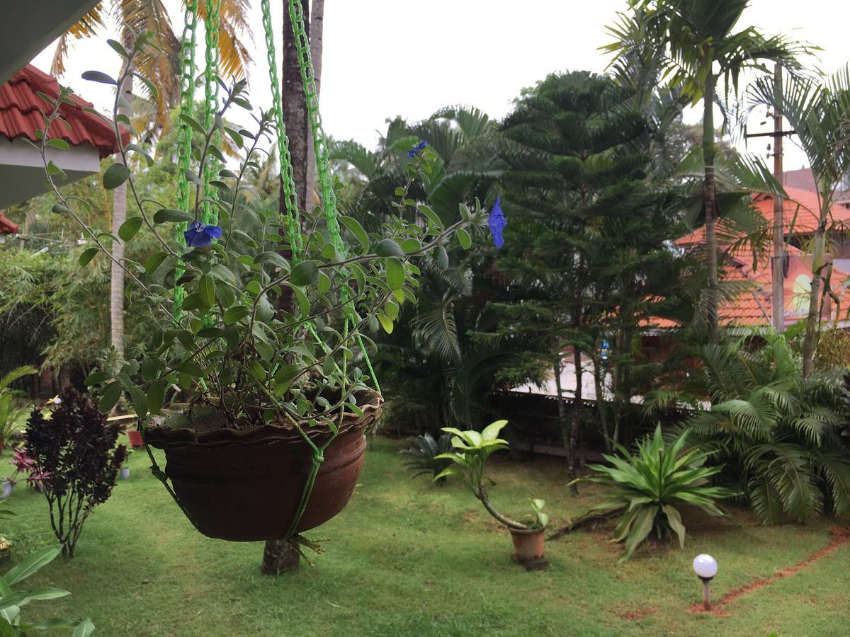 Divine Bliss Beach Resort Varkala Ngoại thất bức ảnh