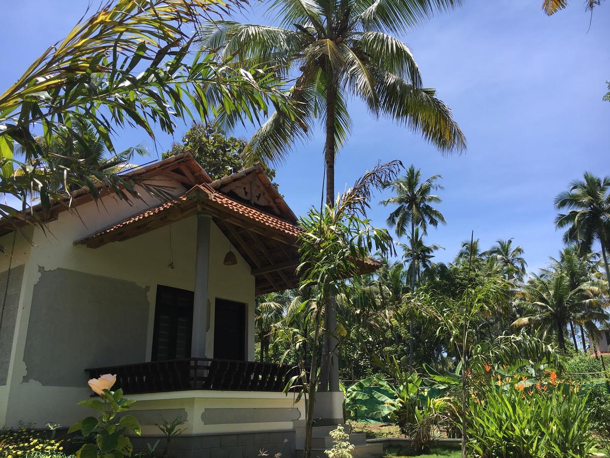 Divine Bliss Beach Resort Varkala Ngoại thất bức ảnh