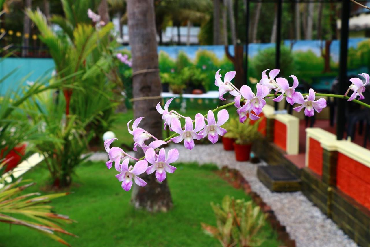 Divine Bliss Beach Resort Varkala Ngoại thất bức ảnh