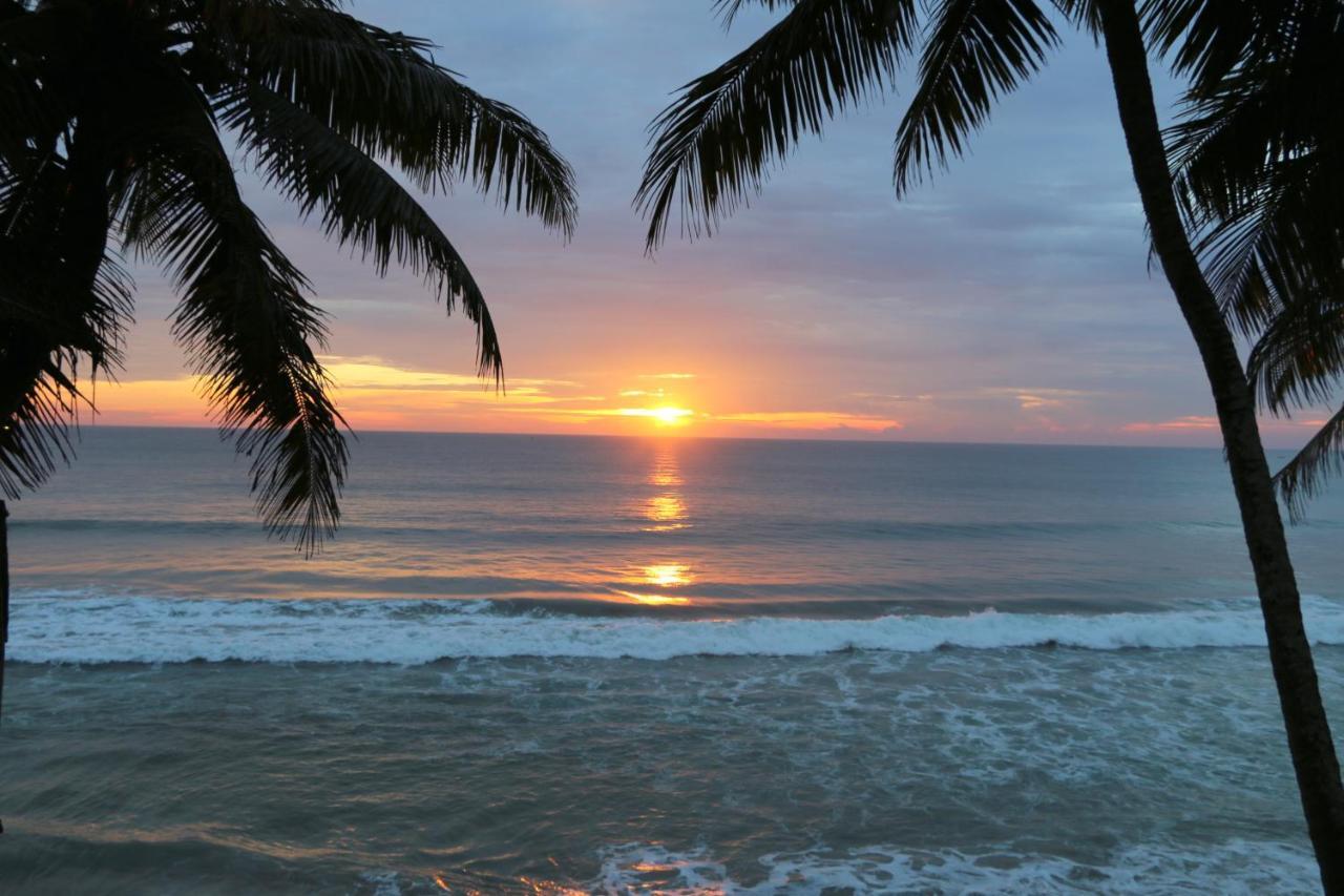 Divine Bliss Beach Resort Varkala Ngoại thất bức ảnh